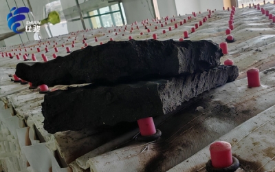 污泥增效劑在醫藥污泥深度脫水領域的出色表現-青島仕駿