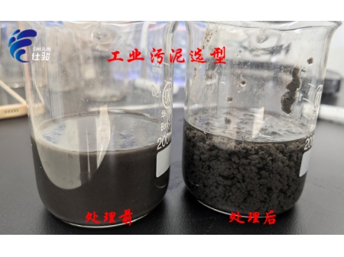 污泥脫水提質(zhì)增效:普通藥劑與仕駿污泥增效劑效果實測對比